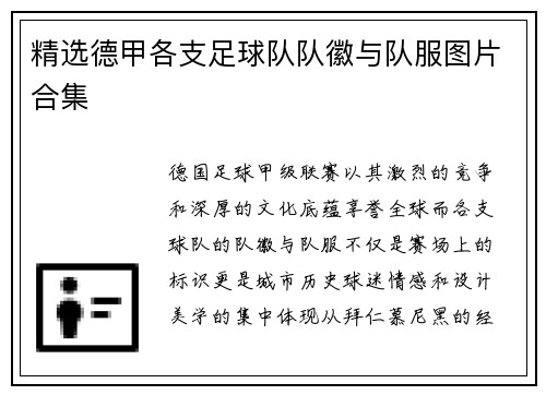 精选德甲各支足球队队徽与队服图片合集